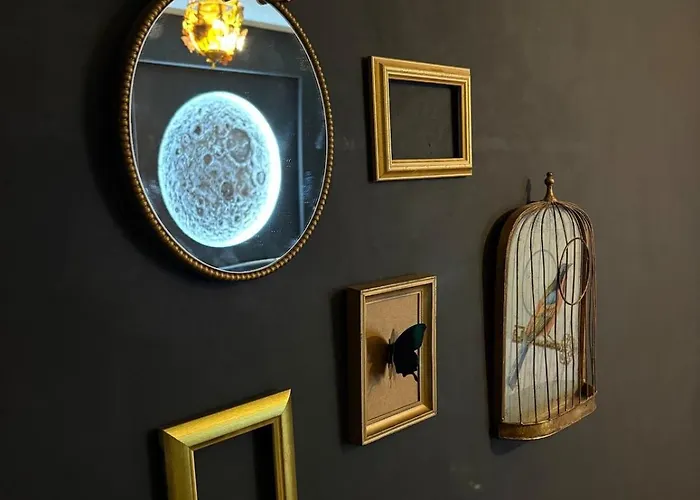 Votre Experience Insolite - Clair De Lune Caen